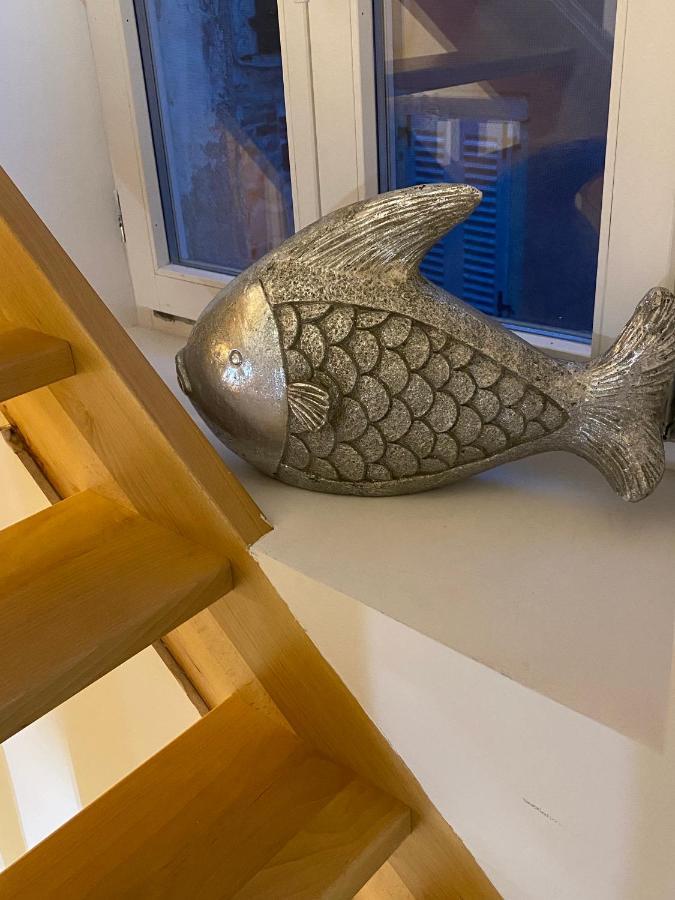 Guesthouse Riba Врсар Екстер'єр фото